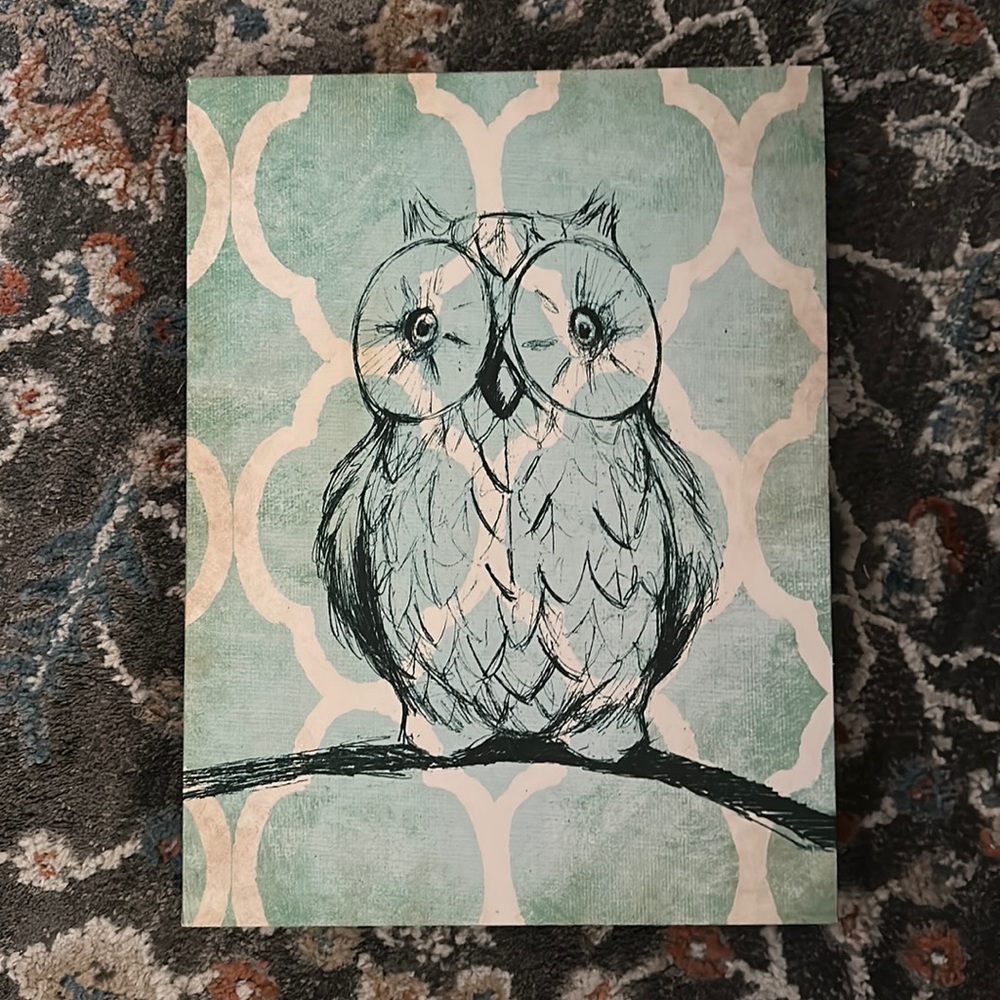 Owl Canvas decor wall art